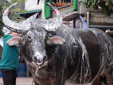 Ảnh bìa bài viết 977089