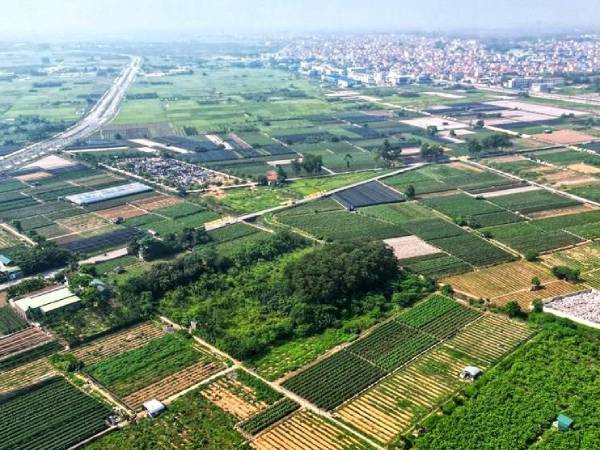 Ảnh bìa bài viết 978428