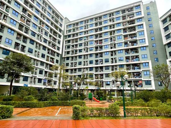 Ảnh bìa bài viết 979348