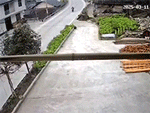 Ảnh bìa bài viết 980858