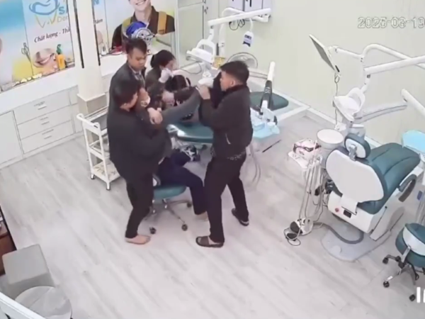 Ảnh bìa bài viết 981088