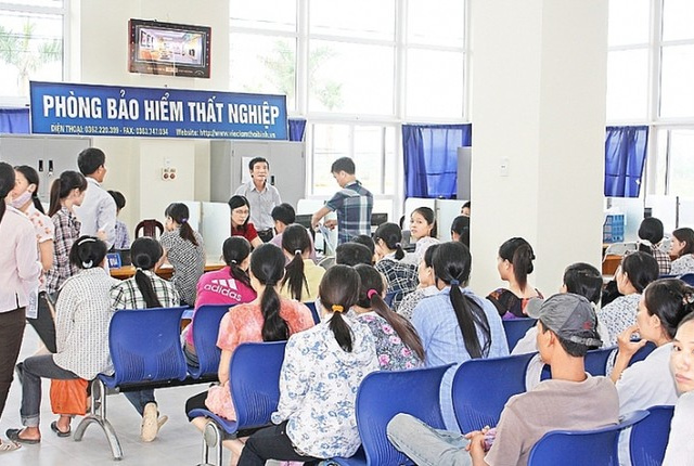 Ảnh bìa bài viết 981324