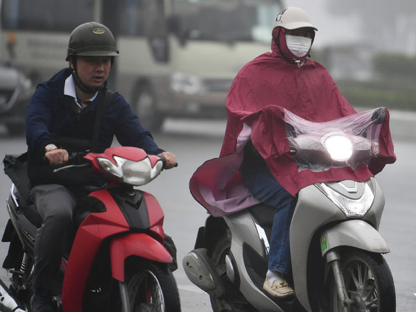 Ảnh bìa bài viết 981250