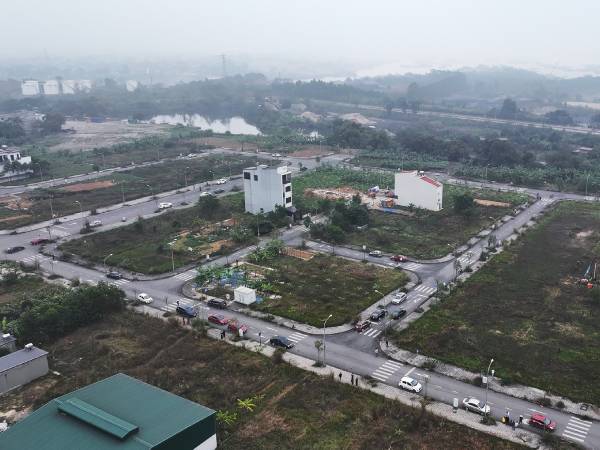 Ảnh bìa bài viết 981387