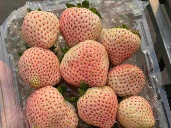 Ảnh bìa bài viết 981412