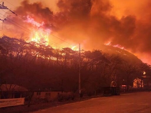 Ảnh bìa bài viết 981568