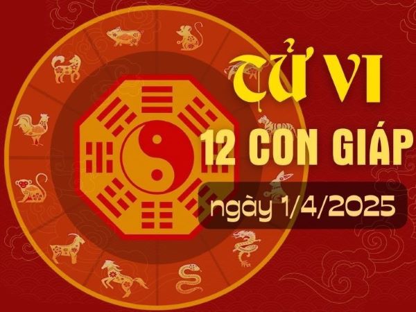 Ảnh bìa bài viết 982213