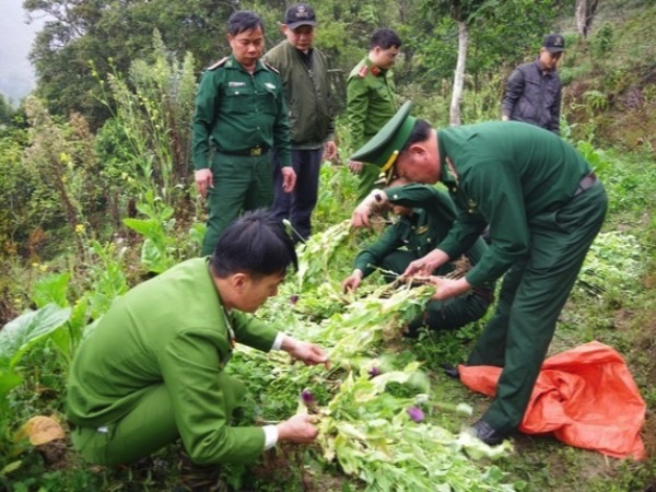 Ảnh bìa bài viết 982112