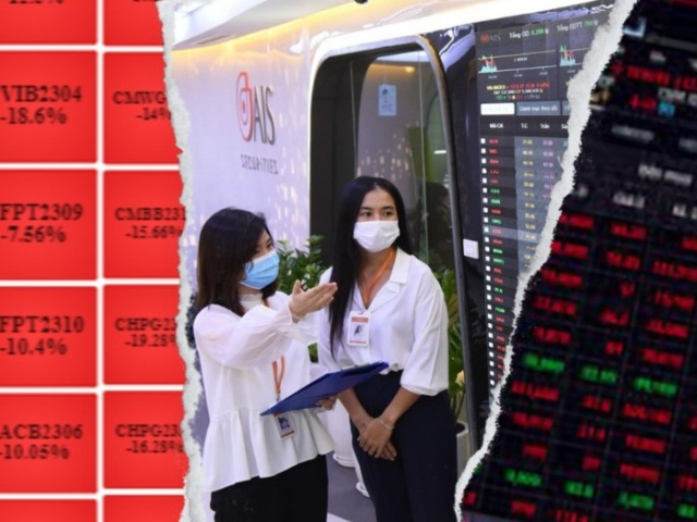 Ảnh bìa bài viết 983138