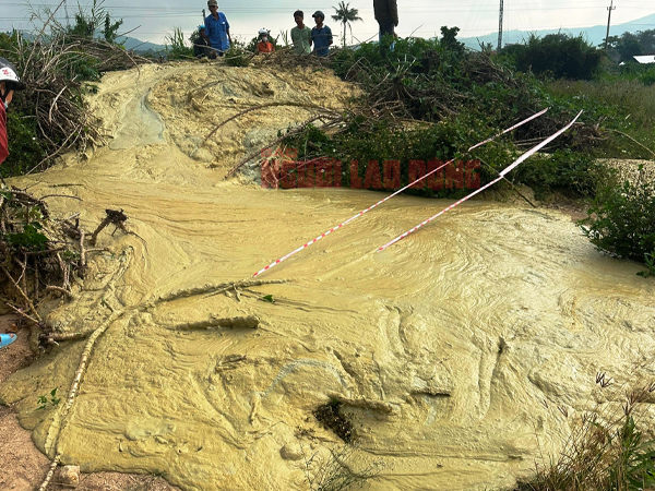 Ảnh bìa bài viết 983169