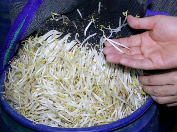 Ảnh bìa bài viết 984784