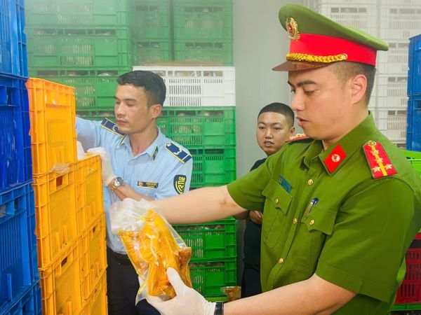 Ảnh bìa bài viết 984999