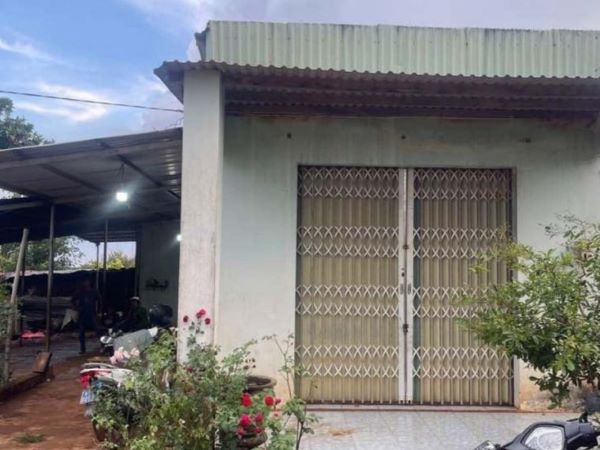 Ảnh bìa bài viết 986662