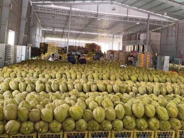 Ảnh bìa bài viết 987354