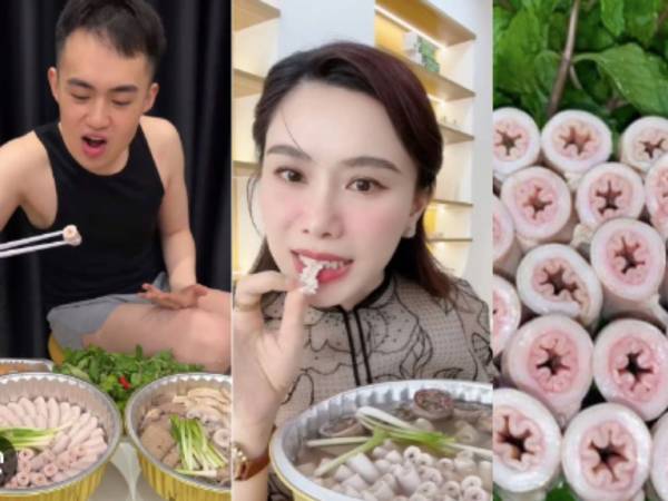 Ảnh bìa bài viết 987407