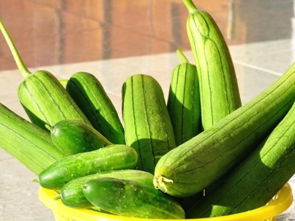 Ảnh bìa bài viết 987716