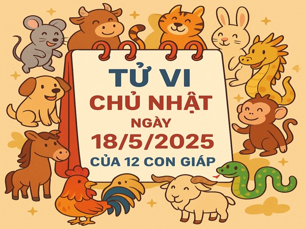 Ảnh bìa bài viết 988313