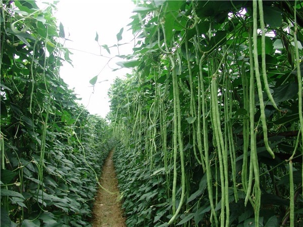 Ảnh bìa bài viết 988909