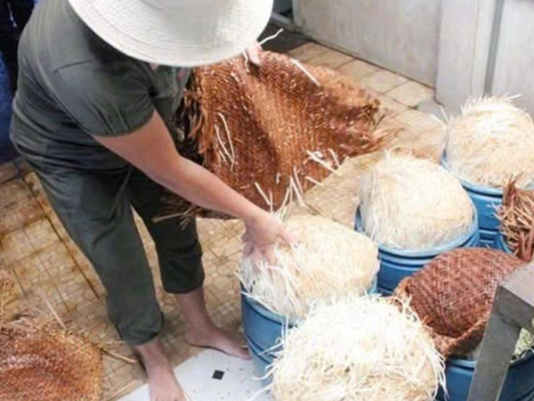 Ảnh bìa bài viết 989512