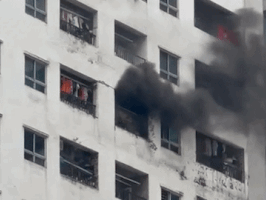 Ảnh bìa bài viết 989995