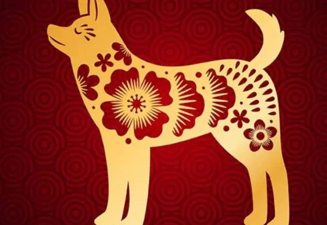 Ảnh bìa bài viết 990365