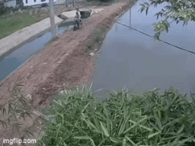 Ảnh bìa bài viết 991199