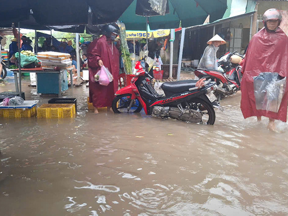 Ảnh bìa bài viết 991255