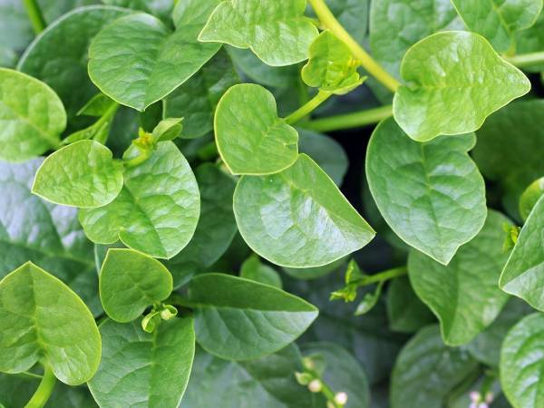 Ảnh bìa bài viết 991139