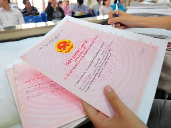 Ảnh bìa bài viết 991205