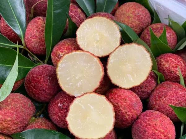 Ảnh bìa bài viết 991215