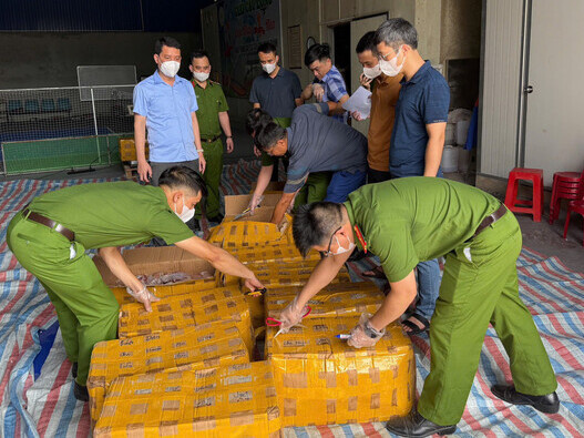 Ảnh bìa bài viết 991358