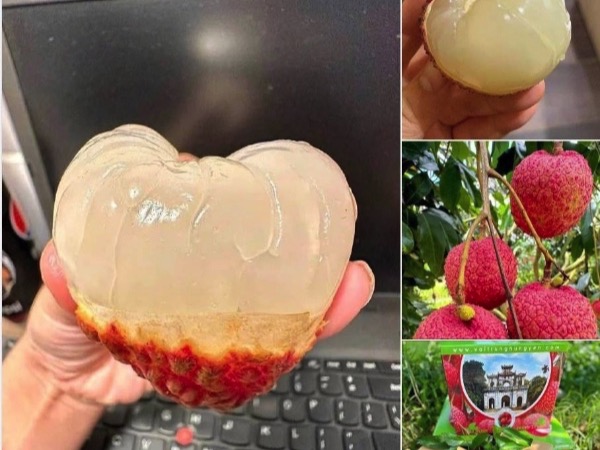 Ảnh bìa bài viết 991412