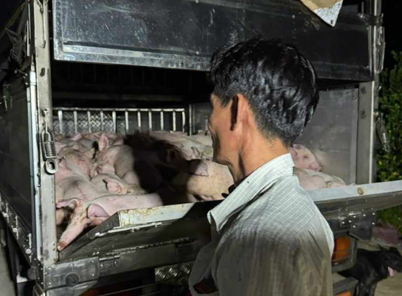 Ảnh bìa bài viết 991473