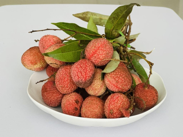 Ảnh bìa bài viết 991500