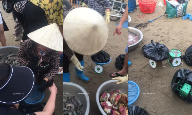 Ảnh bìa bài viết 992318