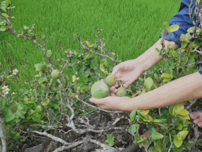 Ảnh bìa bài viết 992566