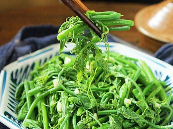 Ảnh bìa bài viết 992493