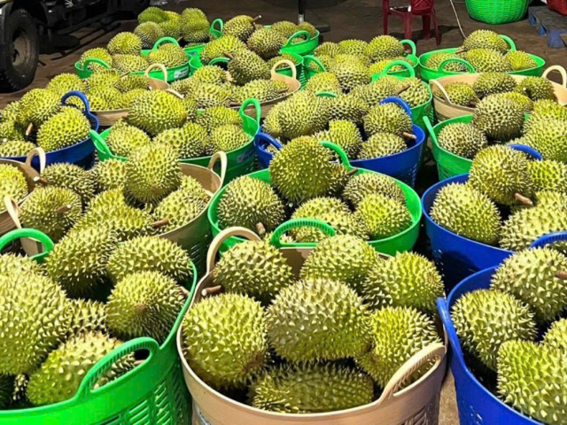 Ảnh bìa bài viết 992834