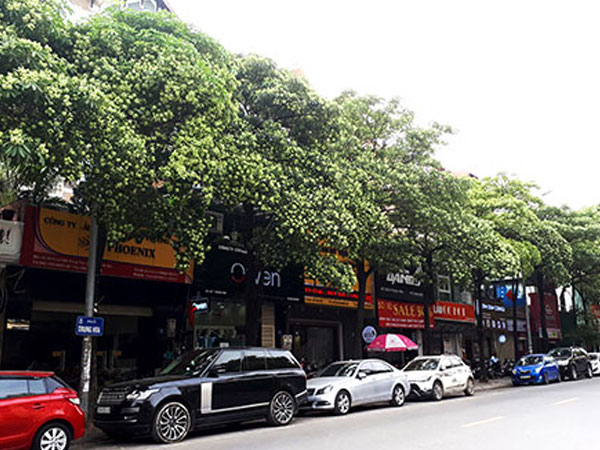 Ảnh bìa bài viết 501620