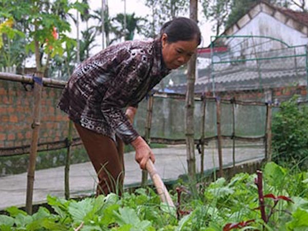 Ảnh bìa bài viết 494189