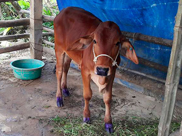 Ảnh bìa bài viết 494333