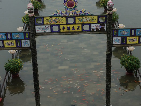 Ảnh bìa bài viết 495323