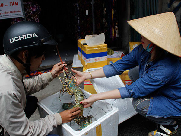 Ảnh bìa bài viết 495380