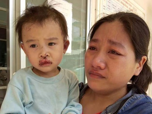Ảnh bìa bài viết 495635