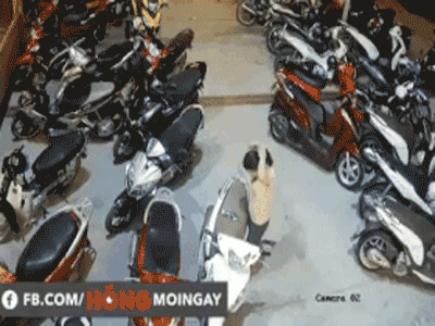 Ảnh bìa bài viết 503212