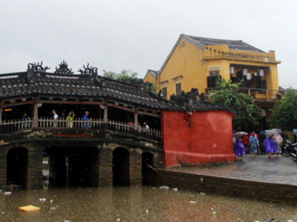 Ảnh bìa bài viết 495877
