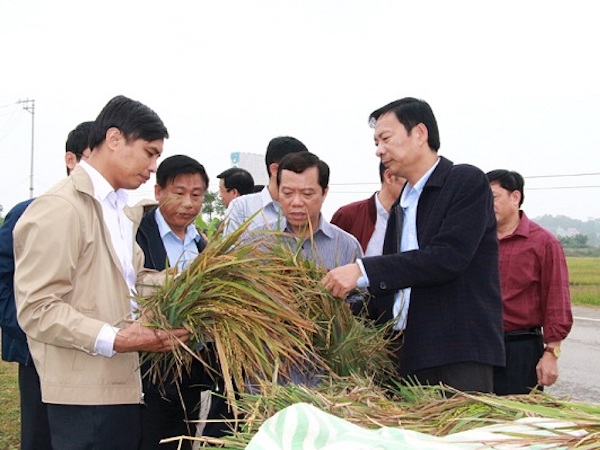 Ảnh bìa bài viết 495974