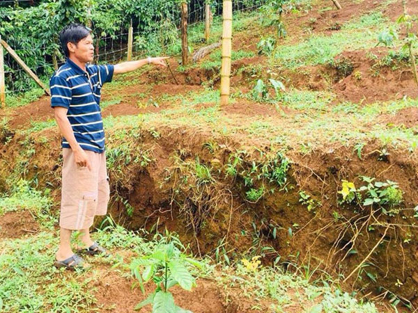 Ảnh bìa bài viết 495997