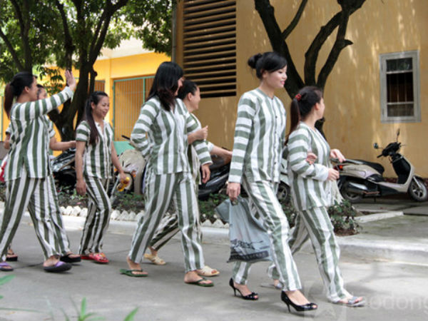 Ảnh bìa bài viết 503629