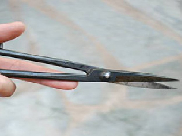 Ảnh bìa bài viết 505170